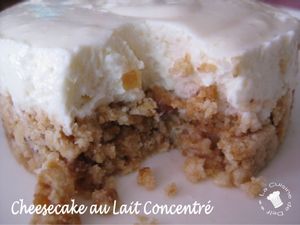 Cheesecake lait concentre 6 Delf