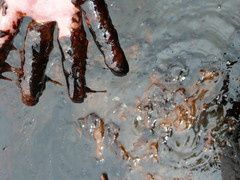 20120602-image.jpg