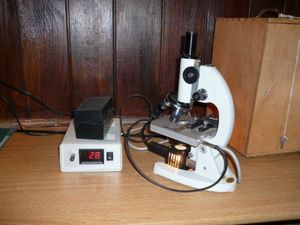 Microscope