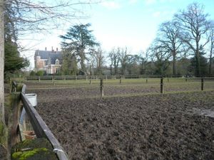 Paddocks