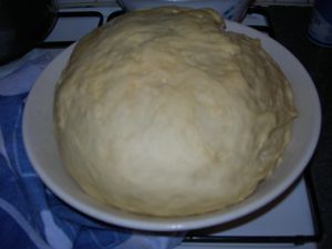DSCN1301