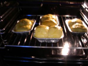 DSCN4205.JPG