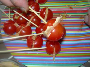 DSCN1856.JPG