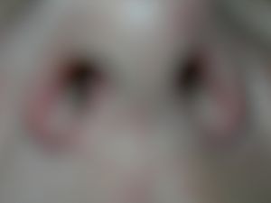 DSCN2256.JPG