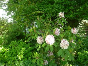 DSCN2287.JPG