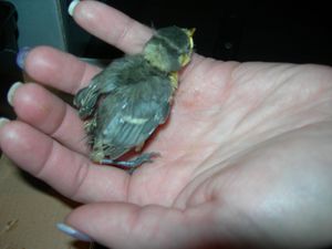 DSCN2336.JPG