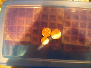 DSCN4139.JPG