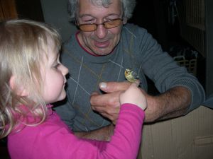 DSCN2381.JPG