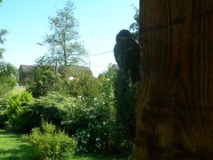 DSCN2418.JPG