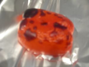 DSCN2966.JPG