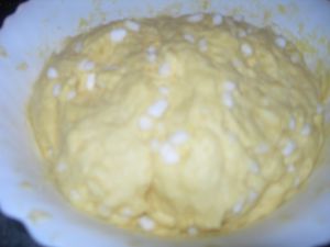 DSCN3880-copie-1.JPG
