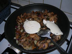 DSCN1513.JPG