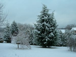 DSCN1615.JPG