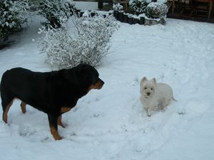 DSCN1618