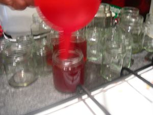 DSCN3995.JPG