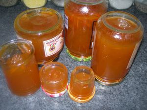 DSCN1727.JPG