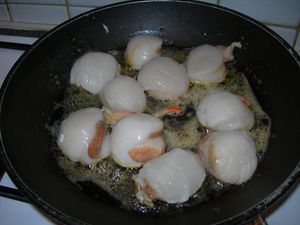 DSCN1436.JPG