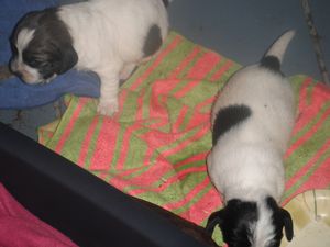 DSCF2272.JPG