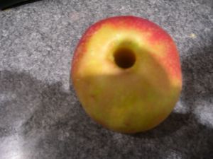 DSCN4461.JPG