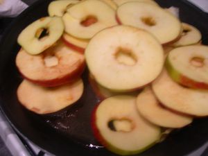 DSCN4466.JPG