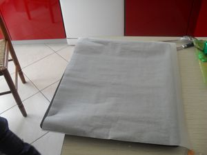 SDC10028.JPG
