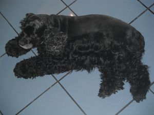 DSCF2149.JPG