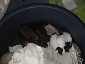 DSCF2150.JPG