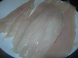DSCN1384.JPG