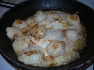 DSCN1437.JPG