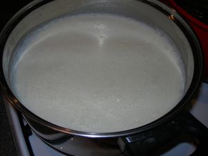 DSCN1556.JPG