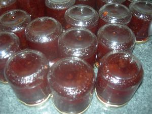DSCN3913.JPG