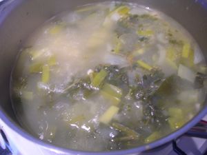 DSCN4234.JPG