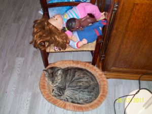 100_1467.JPG