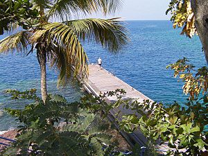 abimes-du-precheur-martinique-laisse-moi-te-dire.jpg