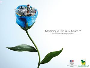 Entreprises-Environnement-martinique-fleur