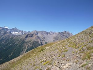 P1000572.JPG