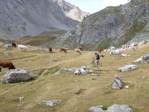 P1000676.JPG