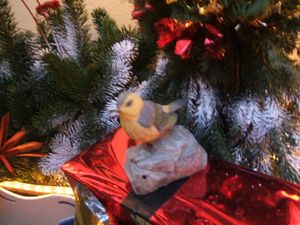 photosF3694.jpg