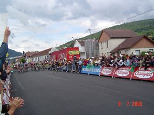 DSC00376.JPG
