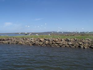 PB010355