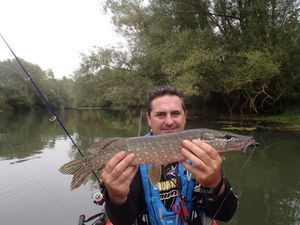 brochet 50cm