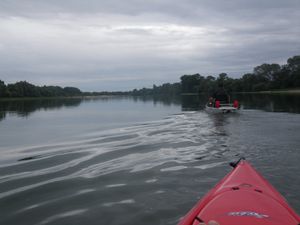 IMGP0203.JPG