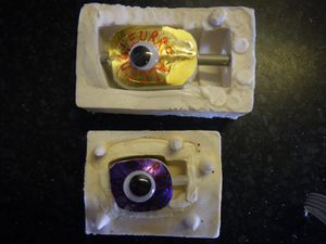 IMGP0436