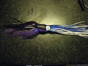 IMGP0441