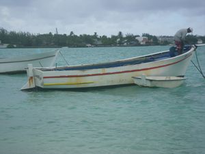 IMGP1824