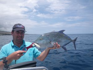 Carrangue bleue 4 kg 15 11