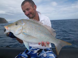 capitaine 3.5 kg par cédric