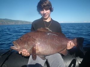 Merou-12-kg-le-30_06.JPG