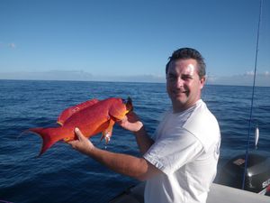 Rouge 2.2 kg le 15 07