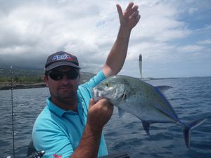 carangue bleue 15 11
